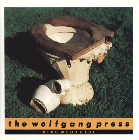 Обложка альбома «Bird Wood Cage» — исполнитель THE WOLFGANG PRESS