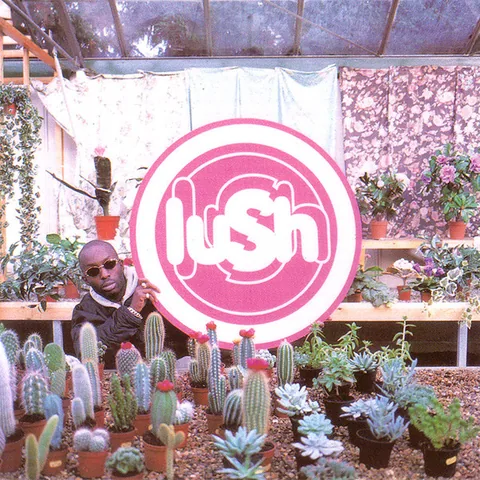 Обложка альбома «Lovelife» — исполнитель LUSH