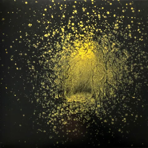 Обложка альбома «Burst Apart» — исполнитель THE ANTLERS