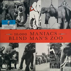 Обложка альбома «Blind Man's Zoo» — 10 000 MANIACS