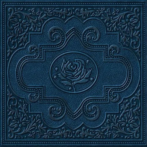 Обложка альбома «Cold Roses» — исполнитель RYAN ADAMS & THE CARDINALS