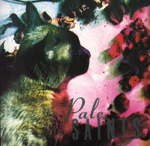 Обложка альбома «The Comforts Of Madness» — исполнитель PALE SAINTS