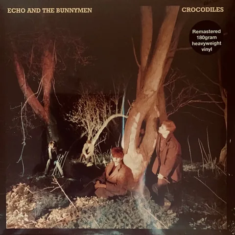 Обложка альбома «Crocodiles» — исполнитель ECHO & THE BUNNYMEN