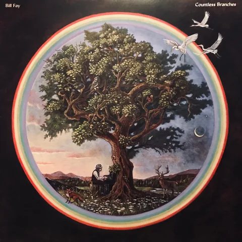 Обложка альбома «Countless Branches» — исполнитель BILL FAY