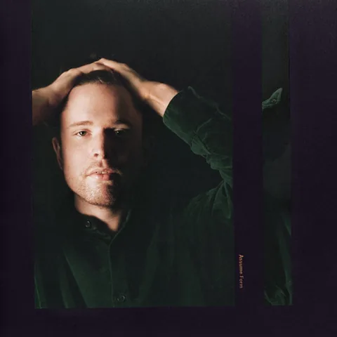 Обложка альбома «Assume Form» — исполнитель JAMES BLAKE
