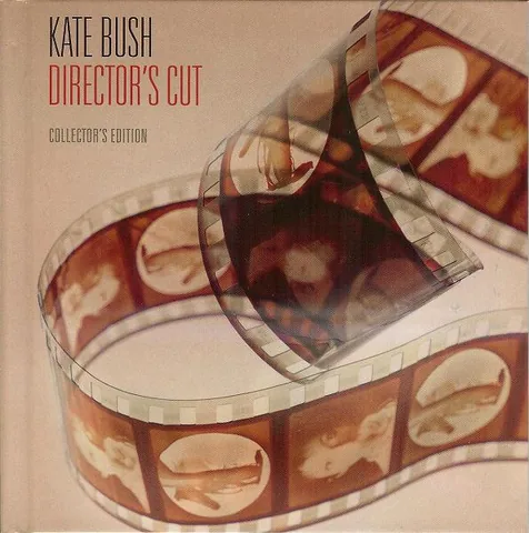 Обложка альбома «Director's Cut» — исполнитель KATE BUSH