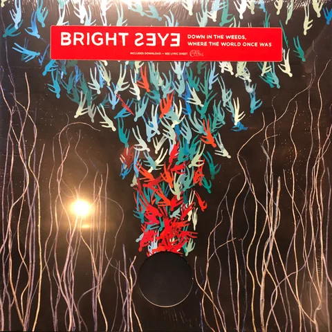 Обложка альбома «Down In The Weeds, Where The World Once Was» — исполнитель BRIGHT EYES