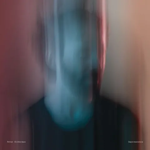 Обложка альбома «Impermanence» — исполнитель PETER SILBERMAN