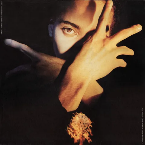 Обложка альбома «Neither Fish Nor Flesh» — исполнитель TERENCE TRENT D'ARBY