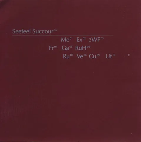Обложка альбома «Succour» — исполнитель SEEFEEL