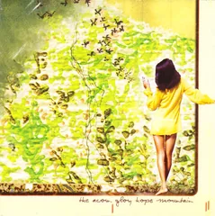 Обложка альбома «Glory Hope Mountain» — THE ACORN
