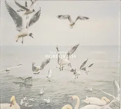 Обложка альбома «More Or Less» — DAN MANGAN