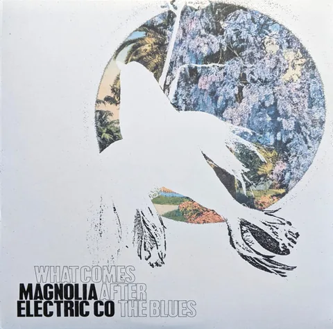 Обложка альбома «What Comes After The Blues» — исполнитель MAGNOLIA ELECTRIC CO
