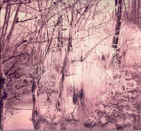 Обложка альбома «Violet Cries» — исполнитель ESBEN AND THE WITCH
