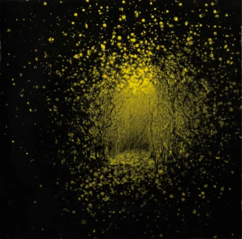 Обложка альбома «Burst Apart» — исполнитель THE ANTLERS