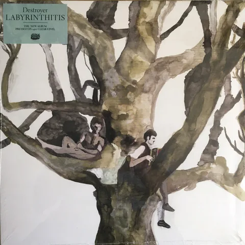 Обложка альбома «Labyrinthitis» — исполнитель DESTROYER