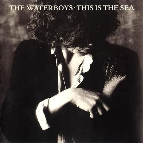 Обложка альбома «This Is The Sea» — исполнитель THE WATERBOYS