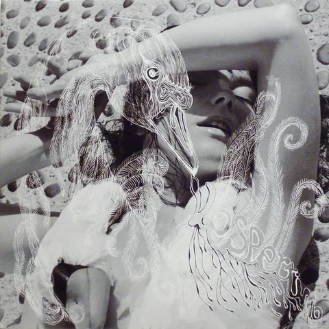 Обложка альбома «Vespertine» — исполнитель BJORK