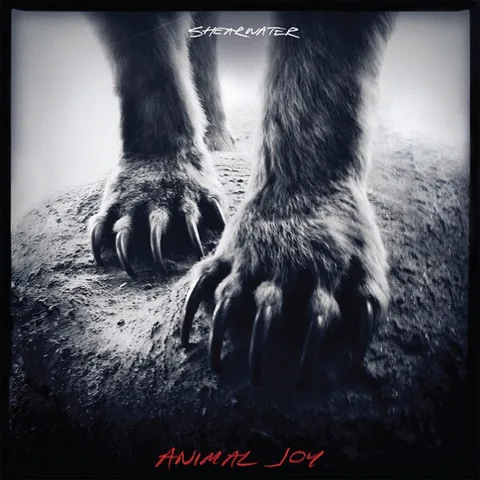 Обложка альбома «Animal Joy (20212, Sub Pop Records) SP957» — исполнитель SHEARWATER