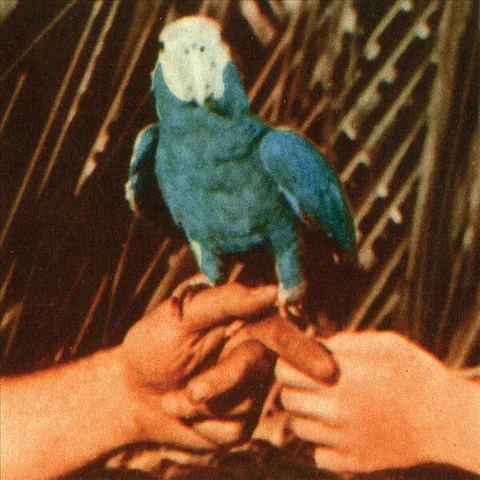 Обложка альбома «Are You Serious» — исполнитель ANDREW BIRD