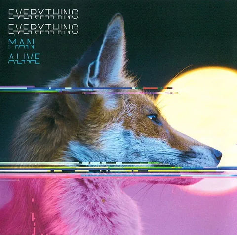 Обложка альбома «Man Alive» — исполнитель EVERYTHING EVERYTHING