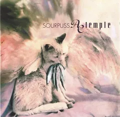 Обложка альбома «Sourpuss» — AC Temple