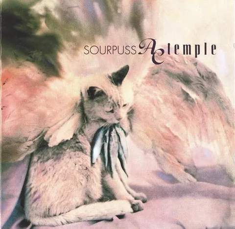 Обложка альбома «Sourpuss» — исполнитель AC Temple