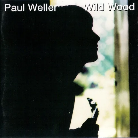 Обложка альбома «Wild Wood» — исполнитель PAUL WELLER