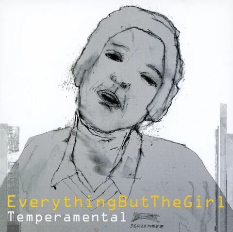 Обложка альбома «Temperamental» — исполнитель EVERYTHING BUT THE GIRL