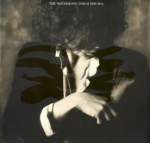 Обложка альбома «This Is The Sea» — исполнитель THE WATERBOYS