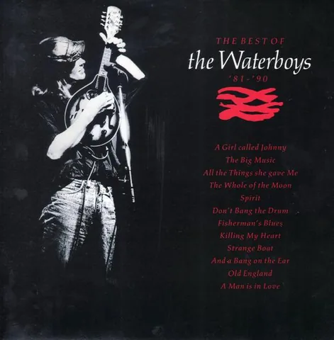 Обложка альбома «The Best Of The Waterboys'81-'90 (1991 1C 064-3 21845 1» — исполнитель THE WATERBOYS
