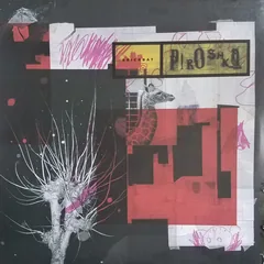 Обложка альбома «Brickbat» — PIROSHKA
